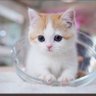 rawan profil fotoğrafı