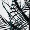 Profilbild von sky