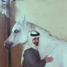 صالح الرعوجي .'s profile picture