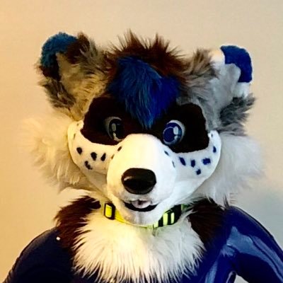 Roy 🐾 🦝's profile picture