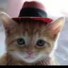 Arlet Haddad's profile picture