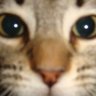ふりぼー's profile picture