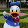 ドナドナ🎯's profile picture