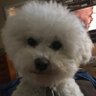 Jackie's profile picture