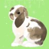 もも♀🍑@うさぎパパ profil fotoğrafı