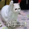 Profilbild von 赴汤蹈火啊琛哥