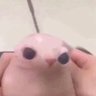 omni -'s profile picture