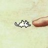 Shui __ /ᐠ。ꞈ。ᐟ\= profil fotoğrafı
