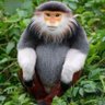 NJ Mbambu profil fotoğrafı