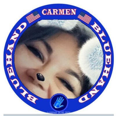 Carmen Krebs's profile picture