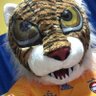 Profilbild von tigre_depreferente