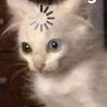 Abby✨'s profile picture