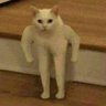iki ayaklı kedi 的头像