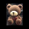 🌸ぼっとの中の人⏱ 消費税廃止コロナは茶番's profile picture