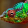 Profilbild von mungamwachiro