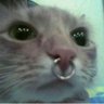 Carlos Junior's profile picture