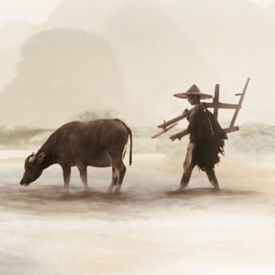 豫章兄's profile picture