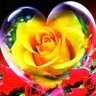 🌐baldev singh's profile picture