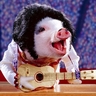 Profilbild von Andrés Andrade