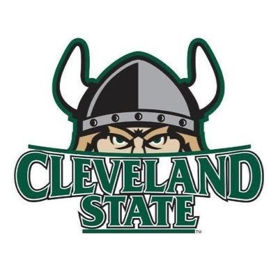 CSU_Athletics's profile picture