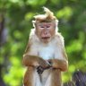 hgtp://SparQy profil fotoğrafı