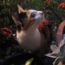 Profilbild von Telma lins