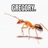Profilbild von Gregory the ant