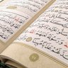  ابحث عن فتاة للزواج 🤲🏻's profile picture