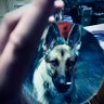 Фото профиля Nick