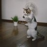 スプライト's profile picture