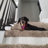 Buster profil fotoğrafı