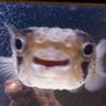 Profilbild von ちょっと通りますよ