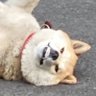 T原's profile picture