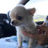 もじゃこ's profile picture