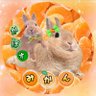 みかん🍊かぼす💚 profil fotoğrafı