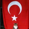 Фото профиля 🇹🇷🇹🇷🇹🇷Tolgahan Aktemuroğlu🇹🇷🇹🇷🇹🇷