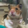 えむ's profile picture