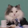 mided's profile picture