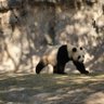 币安欧易bybit高返佣 profil fotoğrafı