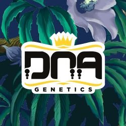 DNA Genetics's profile picture