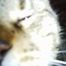Profilbild von MonkeyMan2001, PhD