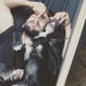 Profilbild von Hunter