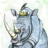 King of Rhinoceri's profile picture