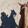 Profilbild von Far West Texas