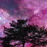 G2 profil fotoğrafı