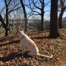 ゆう 的头像