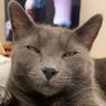 Peet 的头像