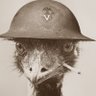 Sargento Emu. 的头像
