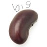 TheBigBean's profile picture
