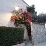 Herve 69440 profil fotoğrafı